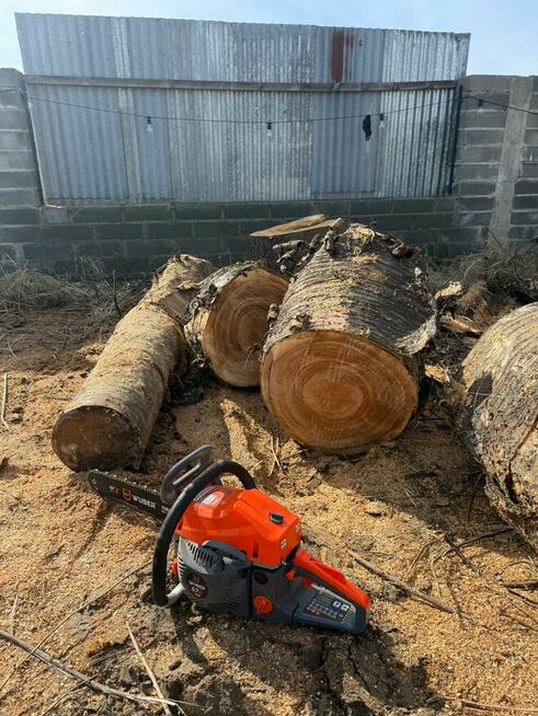 Cięcie, rąbanie i układanie drzewa