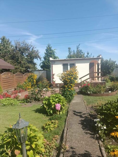 Sprzedam działkę ROD