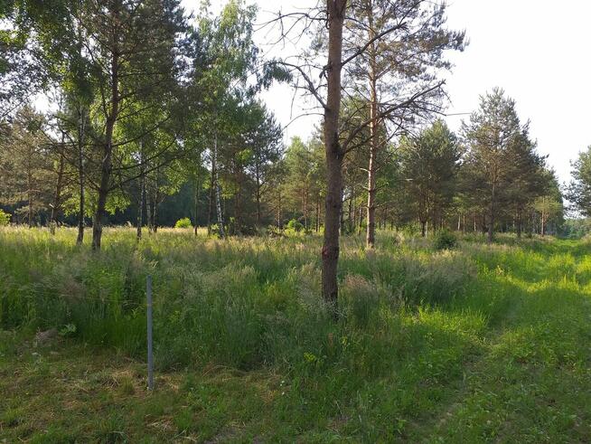 Sprzedam działkę budowlaną