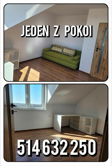 Wynajmę dom Wołyńce-kolonia