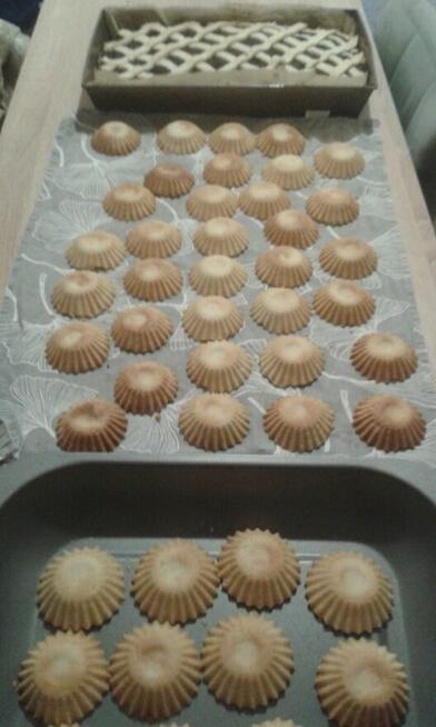 szukam pracy w turystyce , gastronomii z zakwaterowaniem