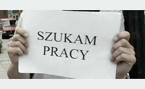 Szukam pracy dorywczej