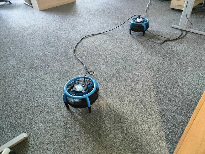 Pralnia Dywanów Opoczno Pranie dywanów wykładzin