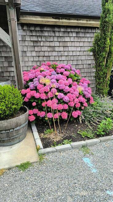 Wszystkiego najlepszego z okazji dnia kobiet