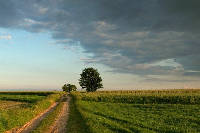 Szukam pracy na wsi z zakwaterowaniem cała Polska od zaraz!!