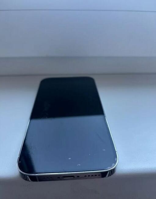 iPhone 14 Pro 256 GB, SIM + eSIM, srebrny, komplet