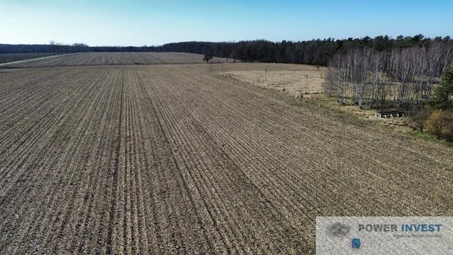 DUŻY POTENCJAŁ/AKTUALNY MPZP/SUPER OFERTA!!!