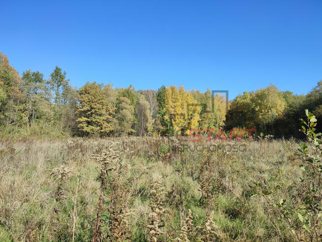 Działka budowlana Adamów-Parcel gm. Radziejowice,