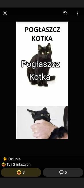 Poznam