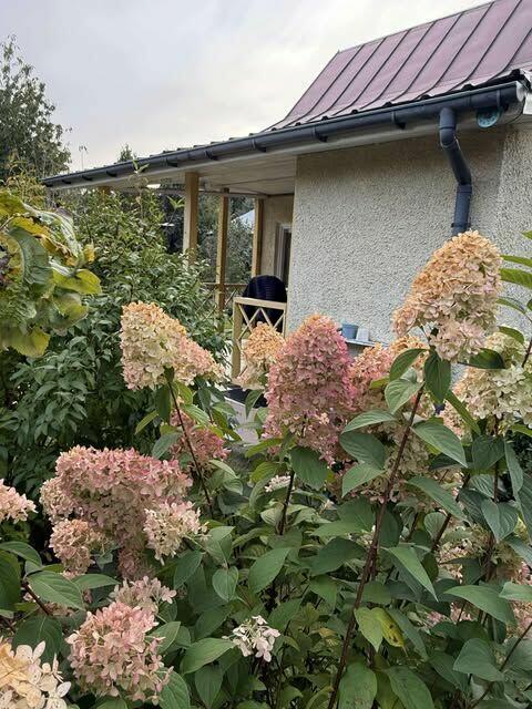 sprzedam działkę ROD