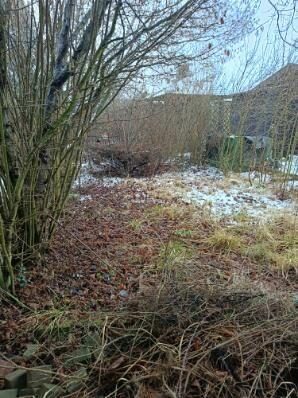 Działka rekreacyjna Lubin 6ar