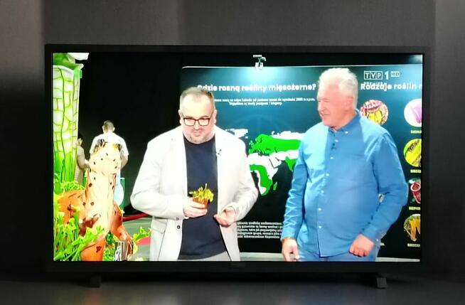 32 Cali TV Philips LED FULL HD SMART TV DVB-T2 HEVC +Hdmi +