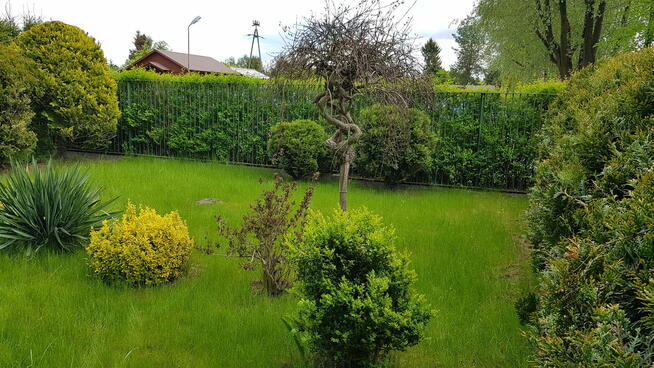 Sprzedam działkę ROD Nadarzyn Wisienka