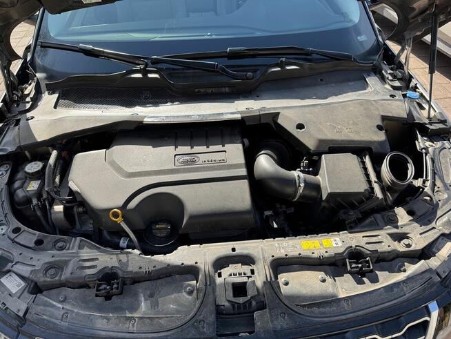 Land Range Rover Evoque 2.0 I4 SE P250 AWD I właściciel ASO