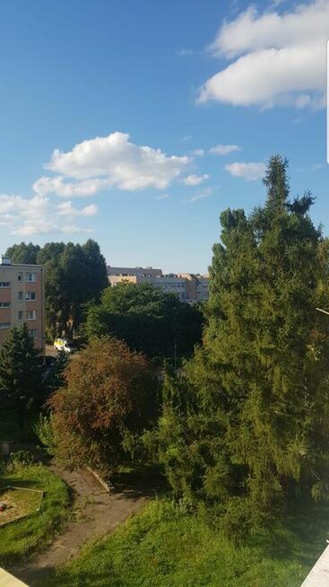 Kawalerka świeżo po remoncie inwestycja