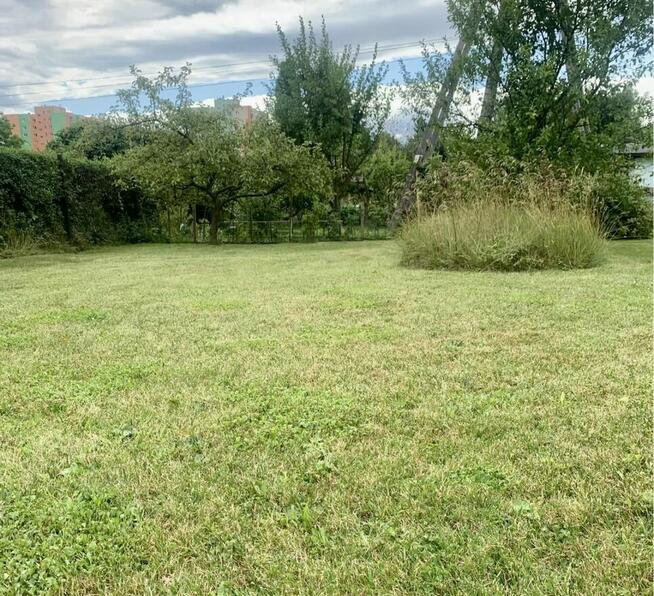 Odstąpię działkę rekreacyjną