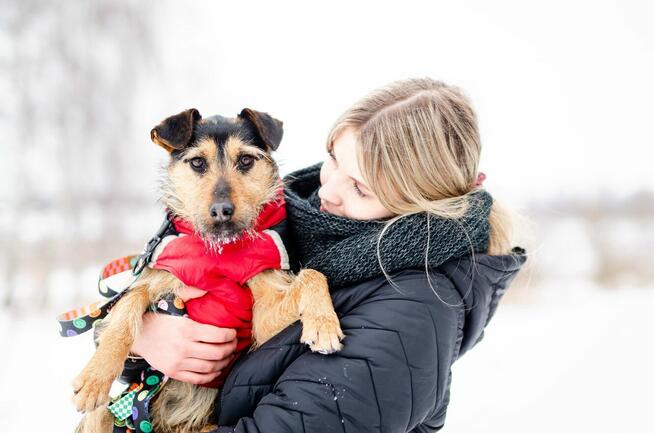 Roxi - młoda, niekonfliktowa, niewielka suczka