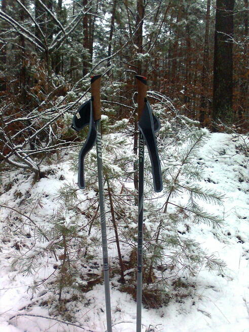 Miłośnika nordic walking poznam