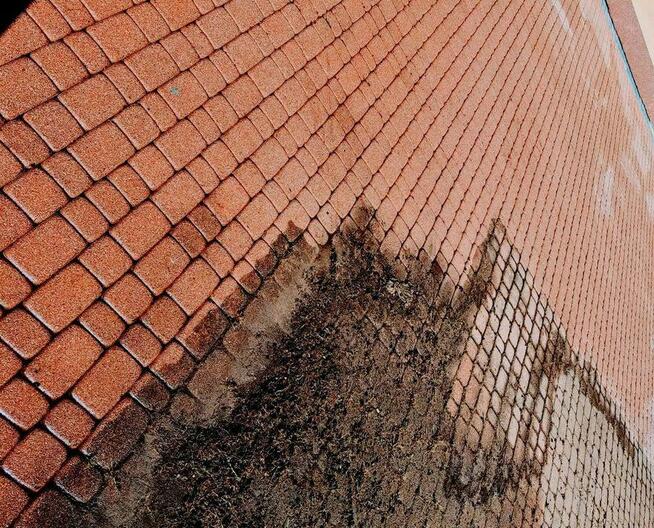 Mycie kostki brukowej i elewacji