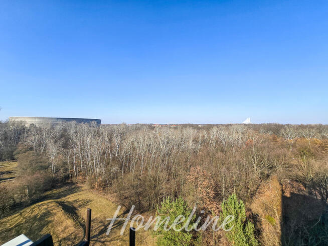 Mieszkanie z potencjałem nad Stawem i zielenią.