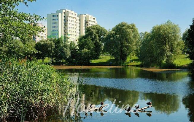 Mieszkanie z potencjałem nad Stawem i zielenią.