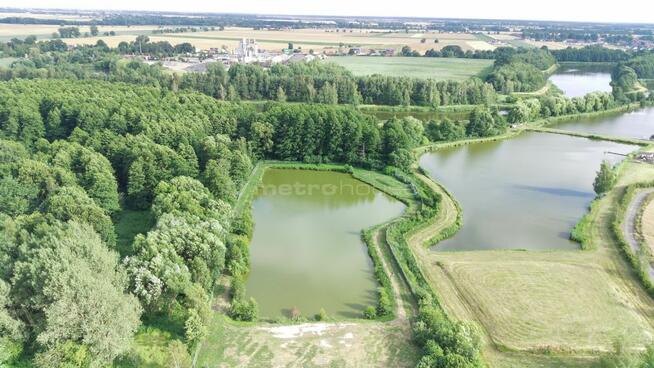 Działka 0,9 ha ze stawem – dobra inwestycja!