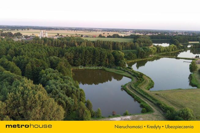 Działka 0,9 ha ze stawem – dobra inwestycja!