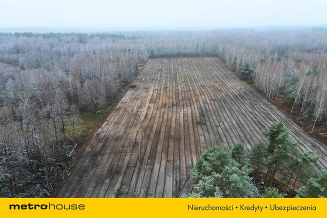 Top lokalizacja S17 4,7 ha pod centrum logistyczne