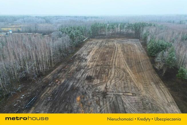 Top lokalizacja S17 4,7 ha pod centrum logistyczne