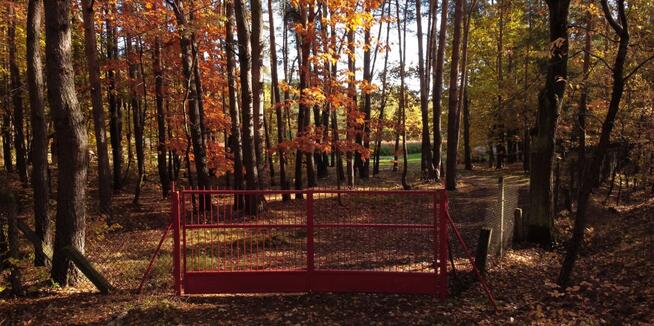 Działka Nadarzyn ul. Błońska