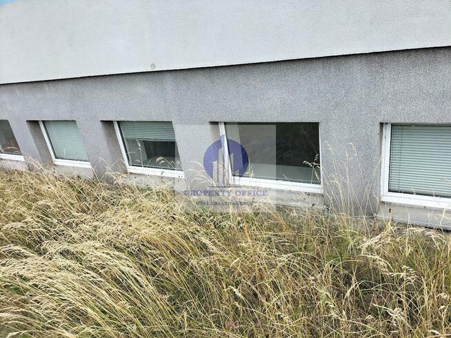 Lokal użytkowy Warszawa Białołęka, Białołęka, Annopol