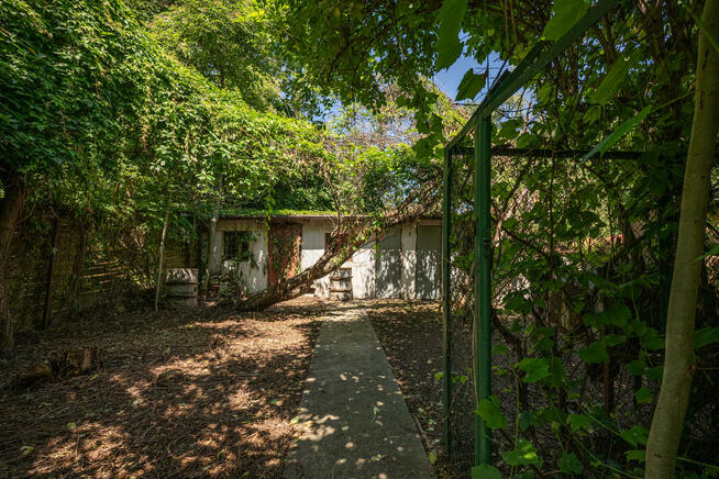 Dom Wrocław Śródmieście, Zalesie, Różyckiego Ludomira