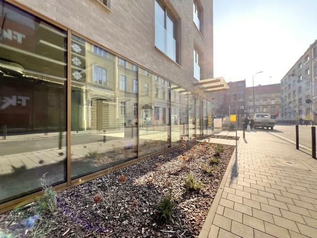 Lokal użytkowy Wrocław Stare Miasto, Stare Miasto, Czysta