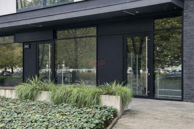 Lokal użytkowy Wrocław Stare Miasto, Stare Miasto, Księcia Witolda