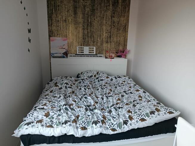 Mieszkanie na wynajem/sprzedaż