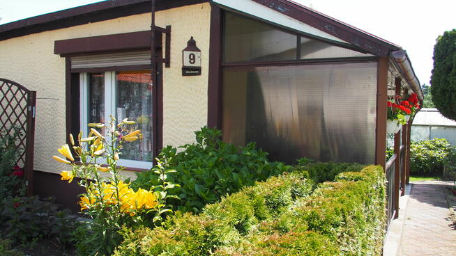 Działka ROD Relax-Umultowo Poznań Naramowice