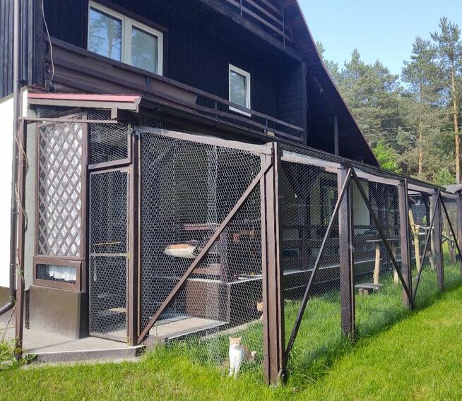 Sprzedam dom na wsi w otoczeniu lasu