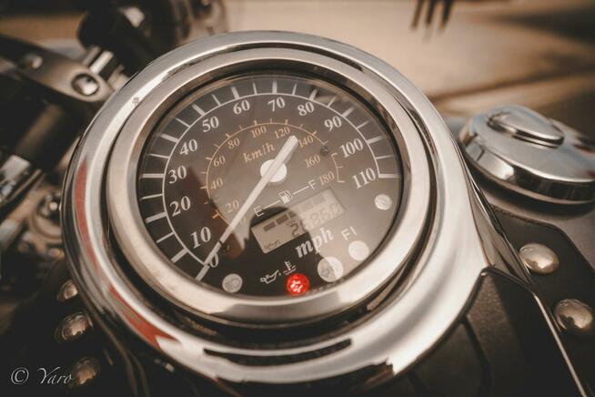 Suzuki VL 800 Volusia - Boulevard C50