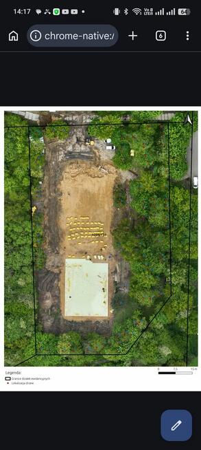 Wycinka drzew, inwentaryzacja zieleni