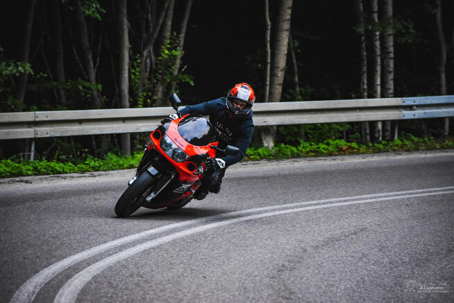 Fotograf – wyjątkowe sesje dla Ciebie, Twojego zwierzaka