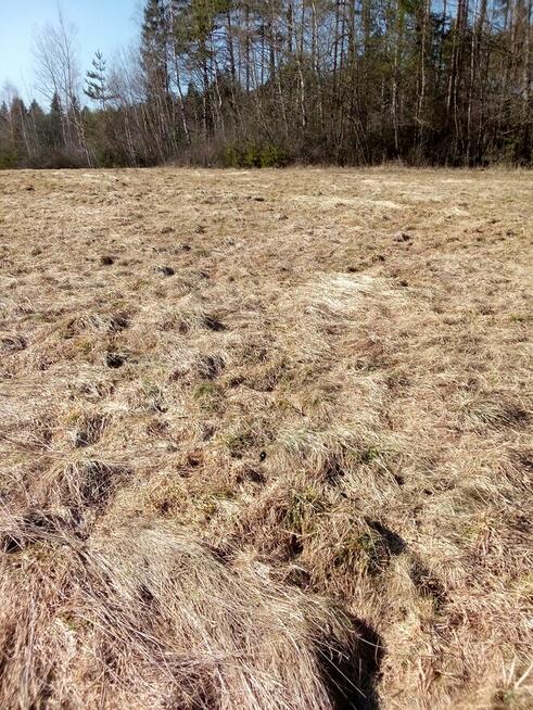 Sprzedam działkę budowlaną