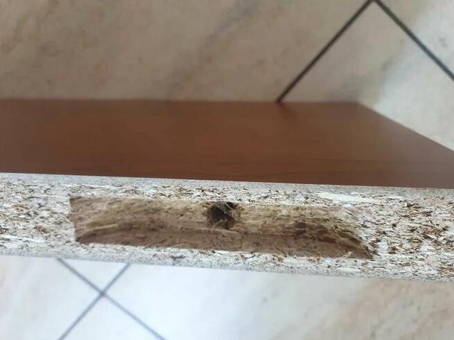 Półka ścienna calvados 3 sztuki