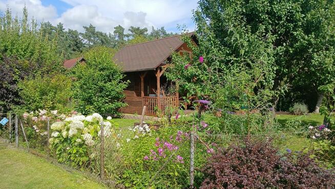 Urokliwa działka ROD z domkiem