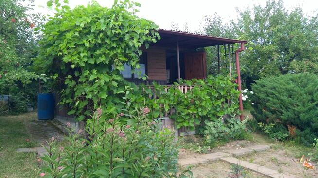 Działka ROD na Wójtowej Roli w Wójtowie, blisko Olsztyna