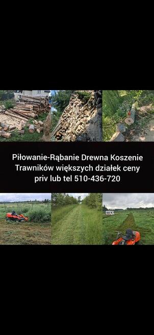 Piłowanie drewna koszenie działek