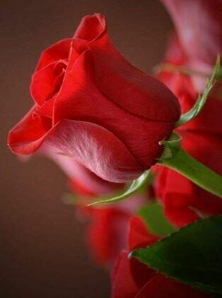 Pan szuka pani Lat 50-70