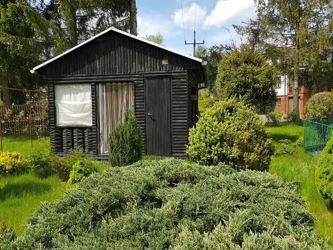 Sprzedam działkę ROD Nadarzyn Wisienka