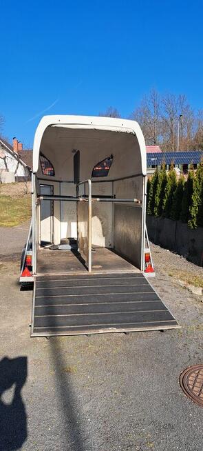 TRANSPORT KONI-KRÓW świń żywca