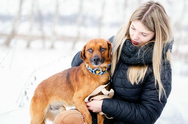 Korek - prawdziwy pies na medal!