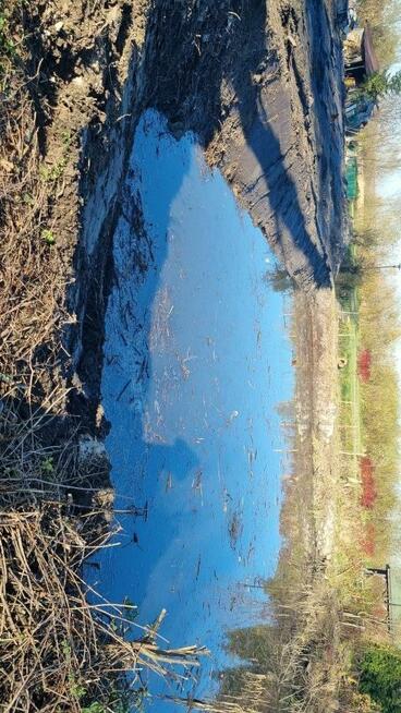 Koparka długie ramie czyszczenie stawów